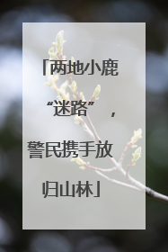 两地小鹿“迷路”，警民携手放归山林