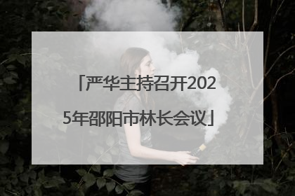 严华主持召开2025年邵阳市林长会议