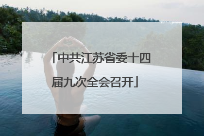 中共江苏省委十四届九次全会召开