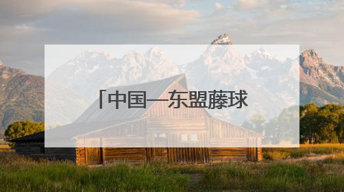 中国—东盟藤球邀请赛即将在贵州开赛 一起来了解藤球运动吧！