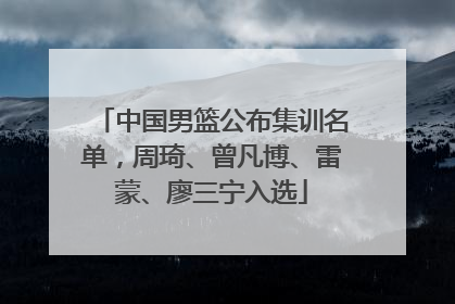 中国男篮公布集训名单，周琦、曾凡博、雷蒙、廖三宁入选