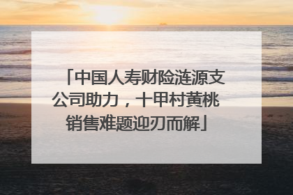 中国人寿财险涟源支公司助力，十甲村黄桃销售难题迎刃而解