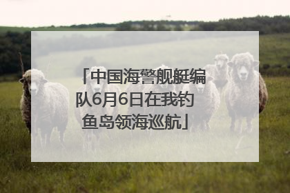 中国海警舰艇编队6月6日在我钓鱼岛领海巡航