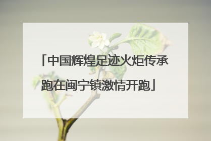 中国辉煌足迹火炬传承跑在闽宁镇激情开跑