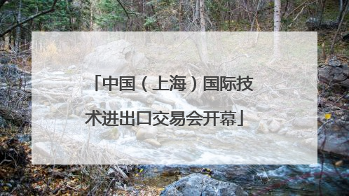 中国（上海）国际技术进出口交易会开幕
