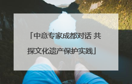 中意专家成都对话 共探文化遗产保护实践