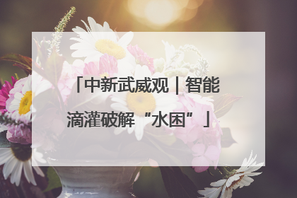 中新武威观｜智能滴灌破解“水困”