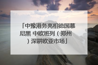中豫港务亮相德国慕尼黑 中欧班列（郑州）深耕欧亚市场
