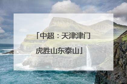 中超：天津津门虎胜山东泰山