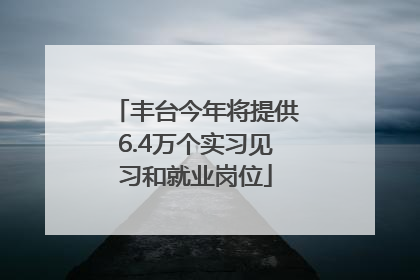 丰台今年将提供6.4万个实习见习和就业岗位