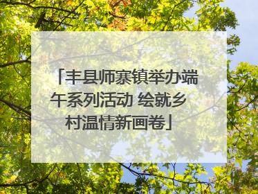 丰县师寨镇举办端午系列活动 绘就乡村温情新画卷