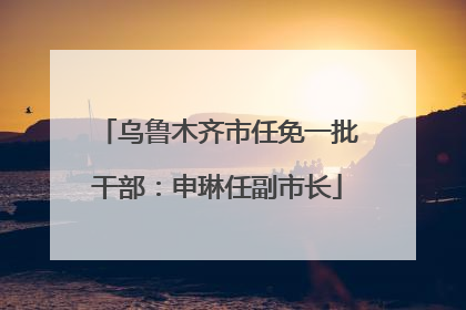 乌鲁木齐市任免一批干部：申琳任副市长