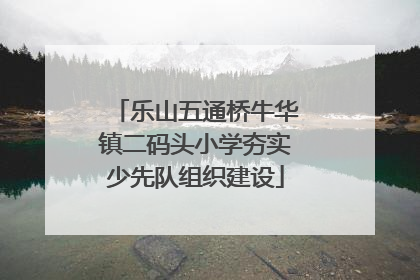 乐山五通桥牛华镇二码头小学夯实少先队组织建设