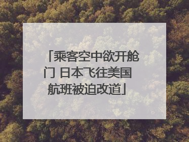 乘客空中欲开舱门 日本飞往美国航班被迫改道