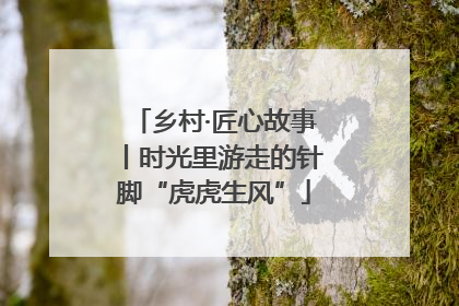 乡村·匠心故事丨时光里游走的针脚“虎虎生风”