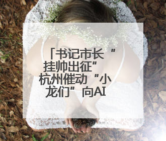 书记市长“挂帅出征” 杭州催动“小龙们”向AI高地进发