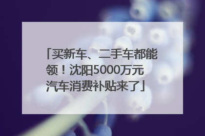 买新车、二手车都能领！沈阳5000万元汽车消费补贴来了