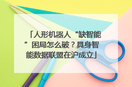 人形机器人“缺智能”困局怎么破？具身智能数据联盟在沪成立