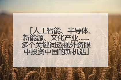 人工智能、半导体、新能源、文化产业……多个关键词透视外资眼中投资中国的新机遇