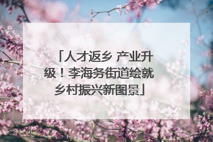 人才返乡 产业升级！李海务街道绘就乡村振兴新图景