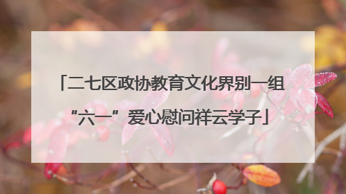 二七区政协教育文化界别一组 “六一”爱心慰问祥云学子