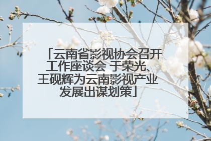 云南省影视协会召开工作座谈会 于荣光、王砚辉为云南影视产业发展出谋划策