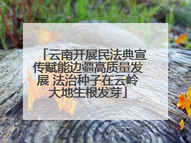 云南开展民法典宣传赋能边疆高质量发展 法治种子在云岭大地生根发芽