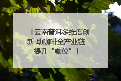 云南普洱多维度创新 助咖啡全产业链提升“咖位”