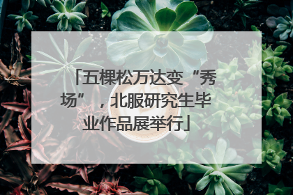 五棵松万达变“秀场”，北服研究生毕业作品展举行