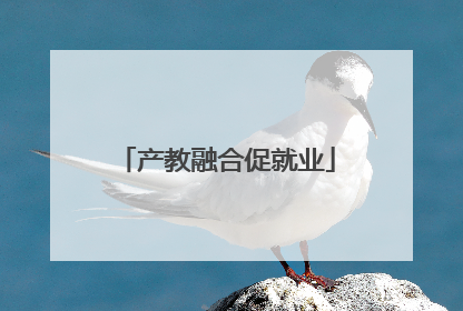 产教融合促就业