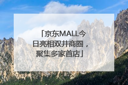 京东MALL今日亮相双井商圈，聚集多家首店