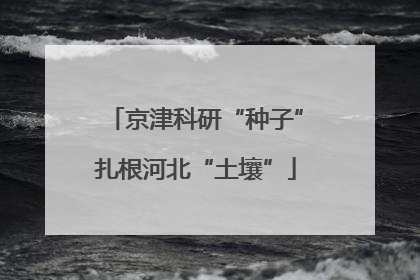 京津科研“种子”扎根河北“土壤”