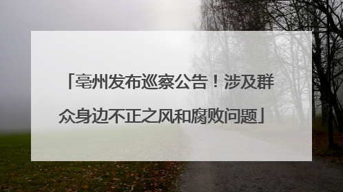 亳州发布巡察公告！涉及群众身边不正之风和腐败问题
