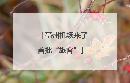 亳州机场来了首批“旅客”