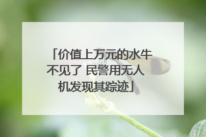 价值上万元的水牛不见了 民警用无人机发现其踪迹