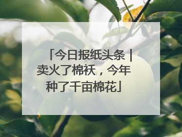今日报纸头条｜卖火了棉袄，今年种了千亩棉花