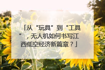 从“玩具”到“工具”，无人机如何书写江西低空经济新篇章？