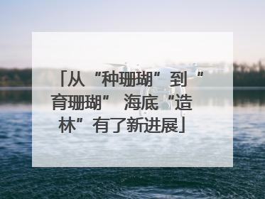 从“种珊瑚”到“育珊瑚” 海底“造林”有了新进展