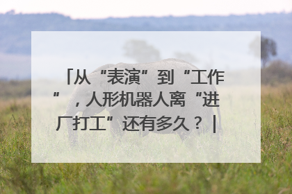 从“表演”到“工作”，人形机器人离“进厂打工”还有多久？｜机器人商业新纪元