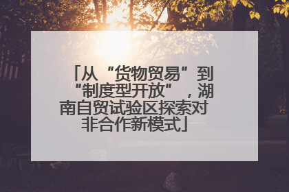 从“货物贸易”到“制度型开放”，湖南自贸试验区探索对非合作新模式