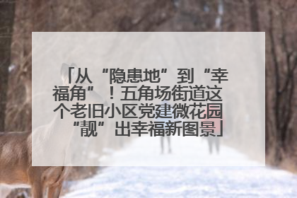 从“隐患地”到“幸福角”！五角场街道这个老旧小区党建微花园“靓”出幸福新图景