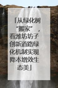 从绿化树“搬家”，看潍坊坊子创新道路绿化机制实现降本增效生态美