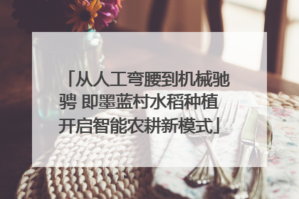 从人工弯腰到机械驰骋 即墨蓝村水稻种植开启智能农耕新模式