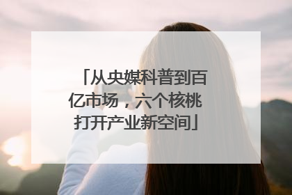 从央媒科普到百亿市场，六个核桃打开产业新空间