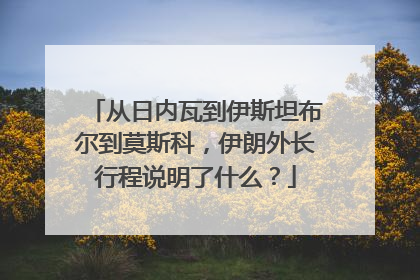 从日内瓦到伊斯坦布尔到莫斯科，伊朗外长行程说明了什么？