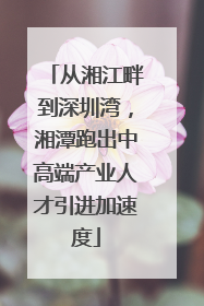 从湘江畔到深圳湾，湘潭跑出中高端产业人才引进加速度