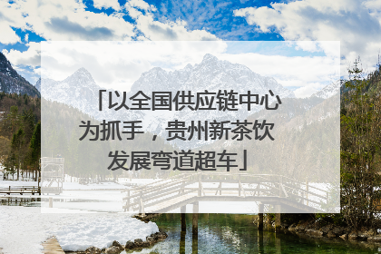 以全国供应链中心为抓手，贵州新茶饮发展弯道超车