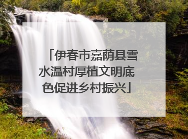 伊春市嘉荫县雪水温村厚植文明底色促进乡村振兴