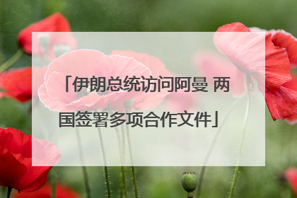 伊朗总统访问阿曼 两国签署多项合作文件