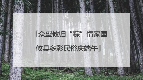 众望攸归“粽”情家国 攸县多彩民俗庆端午